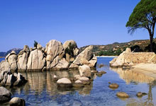 星空竞猜-冲浪夜战：庐州飞鹰队强势横扫漠南犀牛队，速度优势明显门前嗅觉决定胜负(漠南无王庭是什么意思)