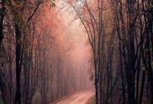 星空体育-Doinb新星回归赛场表现惊艳，独行侠未来可期！的简单介绍